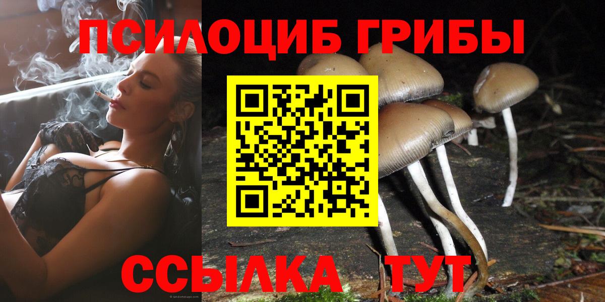 Псилоцибиновые грибы прущие грибы Удомля