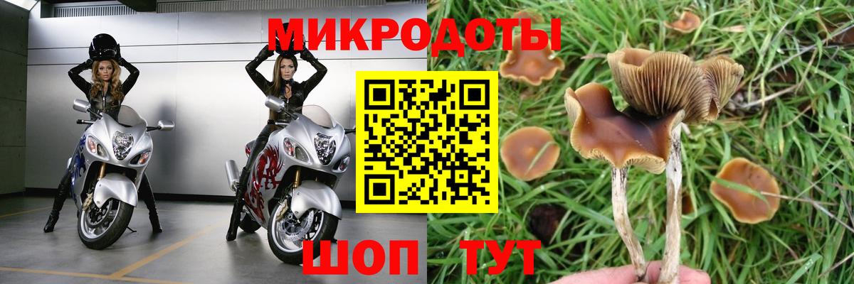 Псилоцибиновые грибы MAGIC MUSHROOMS  Вход с VPN  Удомля  купить наркоту  Псилоцибиновые грибы мухоморы 